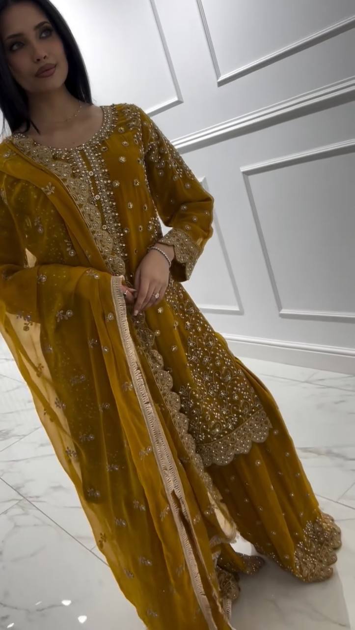 Nisha-HK Faux Georgette Top-Plazzo Set