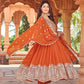 Lavanya -PD Anarkali Gown in Faux Georgette